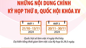 Những nội dung chính của Kỳ họp thứ 8, Quốc hội khóa XV