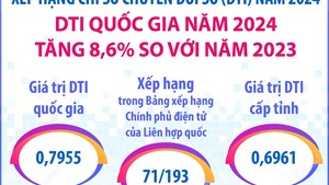 DTI quốc gia năm 2024 tăng 8,6% so với năm 2023