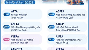 Các FTA Việt Nam tham gia (tính đến tháng 10/2026