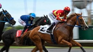 Mảng môi giới chứng khoán lãi gộp hơn 2.000 tỷ đồng trong quý 3 – Biên lợi nhuận đạt đỉnh 4 năm nhờ thanh khoản bùng nổ