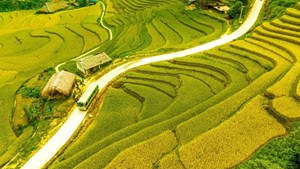 Xà Phìn – ngôi làng vùng cao khoác áo rêu xanh suốt 7 tháng mỗi năm