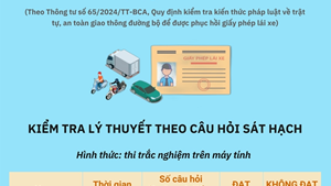 Quy định kiểm tra kiến thức để phục hồi giấy phép lái xe