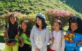 Muốn săn mây, thưởng hoa tam giác mạch tới Hà Giang 