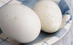 Ăn trứng sao cho có lợi sức khỏe? So sánh trứng gà – trứng vịt và 3 loại nên tránh xa