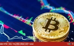 Thị trường tài sản số lao dốc cuối năm, “bay hơi” khoảng 1.000 tỷ USD