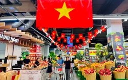 Doanh nghiệp nội giữ ngôi đầu bán lẻ Việt Nam: WinCommerce và Long Châu bứt phá năm 2025