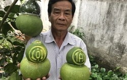 Trái cây tạo hình Tết hạ nhiệt, nhà vườn xoay hướng để tránh rủi ro