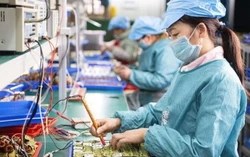 Làn sóng khởi nghiệp tăng tốc cuối năm 2025 với hơn 17.000 doanh nghiệp mới