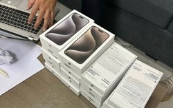 Hải quan rao bán loạt smartphone tịch thu, iPhone cũ chỉ hơn nửa triệu đồng mỗi máy