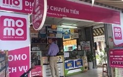Bức tranh sở hữu phía sau ví MoMo: khối ngoại chi phối hơn 71% vốn