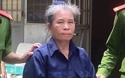 Nữ lãnh đạo doanh nghiệp “tự phong” luật sư, dựng quan hệ cấp cao để chiếm đoạt hàng chục tỷ