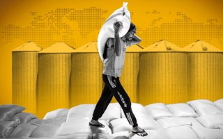 Khi các quốc gia quay lại tích trữ lương thực: Dấu hiệu của một thế giới thiếu chắc chắn