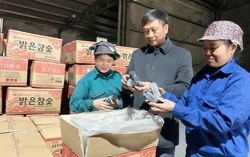 Từ củi bỏ đi thành sản phẩm xuất ngoại, doanh nghiệp Bắc Ninh thu hàng chục tỷ mỗi năm
