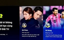 Thực thi bản quyền số: Chặn website lậu chỉ là giải pháp tạm thời