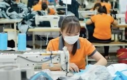 Quy định kế toán mới cho doanh nghiệp siêu nhỏ: Giảm thủ tục, làm rõ cách tính thuế