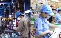 Hà Nội ban hành chương trình hỗ trợ pháp lý cho hộ kinh doanh, doanh nghiệp nhỏ