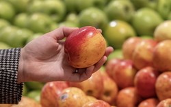 Phát hiện đáng lo: 85% táo tại châu Âu tồn dư nhiều loại thuốc bảo vệ thực vật cùng lúc