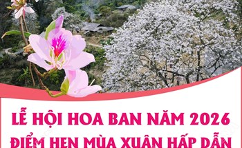 Lễ hội Hoa Ban năm 2026: Điểm hẹn mùa Xuân hấp dẫn