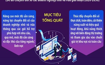 Nâng cao mức độ sẵn sàng, năng lực chuyển đổi số của doanh nghiệp nhỏ