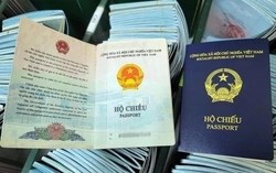 Nợ thuế đến mức nào thì bị cấm xuất cảnh? Quy định mới cần đặc biệt lưu ý