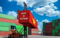 Trước thềm đàm phán: Gemadept, CII, BAF... lên tiếng về tác động của chính sách thuế đối ứng từ Mỹ, Hội DN gỗ, dệt may, thuỷ sản đưa giải pháp ứng phó