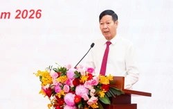 Việt Nam tiến gần bước ngoặt công nghiệp ô tô: Tỷ lệ nội địa hóa tăng mạnh, dần bắt kịp các nước dẫn đầu khu vực
