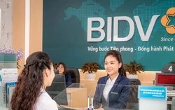 Ngân hàng Nhà nước đổi cách tính LDR: Bước “giảm áp” thanh khoản và tín hiệu chuyển sang tư duy Basel III