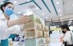 Tín dụng ngân hàng vẫn là “phao cứu sinh” của nhiều doanh nghiệp