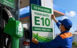 Hầu hết ô tô, xe máy tại Việt Nam đều có thể sử dụng an toàn xăng E10