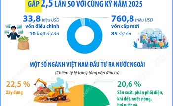5 tháng năm 2026: Đầu tư của Việt Nam ra nước ngoài đạt 794,6 triệu USD gấp 2,5 lần so với cùng kỳ năm 2025