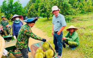 HAGL cần gấp 100 kỹ thuật viên sầu riêng, treo thưởng 700.000 đồng cho mỗi lượt giới thiệu không giới hạn