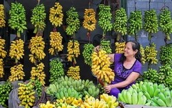 Đặc sản tiến vua nổi tiếng Ninh Bình: Vào mùa thường cháy hàng, nhiều người phải đặt trước mới mua được