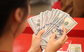 Dự báo tỷ giá, lãi suất thời gian tới: Tín dụng giữ đà tăng, lãi suất ổn định, VND chịu sức ép