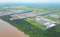 Đồng Tháp đấu giá tìm chủ đầu tư mới cho khu công nghiệp dầu khí bỏ hoang hơn 20 năm