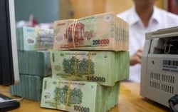 Lãi suất tiết kiệm đầu tháng 7 ổn định, cao nhất vẫn ở mức 7,3%/năm