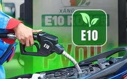 Xăng E10 tăng nhu cầu, bài toán nâng công suất ethanol nội địa được đặt ra