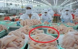 Một mặt hàng của Việt Nam cán mốc gần tỷ USD, hơn 140 quốc gia trên thế giới đặt mua Chỉ trong 6 tháng