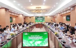NHNN sắp ban hành quy định an toàn mới cho ngân hàng: Basel III tiến gần hơn, loạt nhà băng lớn đồng loạt lên tiếng