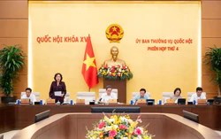 Đề xuất gộp Luật Đầu tư công và Luật Ngân sách để xóa bỏ thủ tục chồng chéo