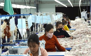174.000 doanh nghiệp gia nhập thị trường, tín hiệu hồi phục kinh tế ngày càng rõ