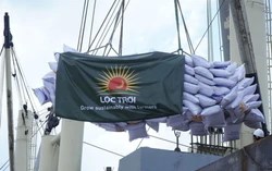 Lộc Trời mất tư cách công ty đại chúng
