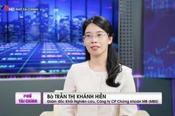 Kênh đầu tư nào đang hút Dòng tiền trong nước