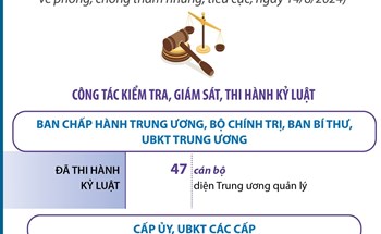 Kết quả công tác phòng, chống tham nhũng, tiêu cực 6 tháng đầu năm 2024