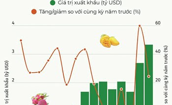 Rau quả Việt Nam xuất khẩu tiếp tục bứt phá để tạo kỷ lục mới cho năm 2024