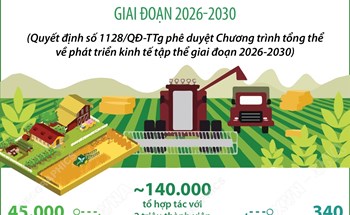 Một số mục tiêu đến năm 2030 của Chương trình tổng thể về phát triển kinh tế tập thể giai đoạn 2026-2030