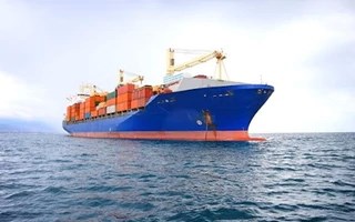 Mỹ, Nhật Bản, Hàn Quốc đồng loạt tăng nhập khẩu một mặt hàng của Việt Nam