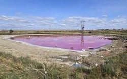 Hiện tượng bất ngờ về hồ nước màu hồng neon tuyệt đẹp ở Anh