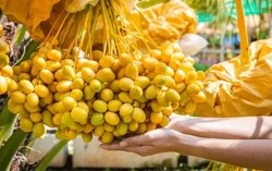 Loại quả từng được xếp vào hàng đặc sản cao cấp nay lại rẻ chưa từng có: Khi ăn cần chú ý điều này