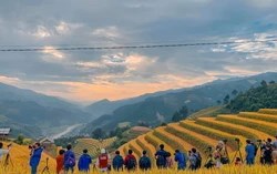 Đồi Móng Ngựa Mù Cang Chải – điểm ngắm mùa lúa chín siêu thực, thu hút đông đảo du khách và nhiếp ảnh gia