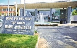 HAGL điều chỉnh lô trái phiếu 1.000 tỷ: Lợi tức giảm còn 11,5%, vốn đầu tư cà phê thay đổi